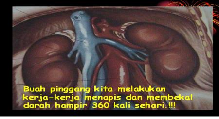 kidney failer